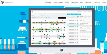 押注下一個前沿 合成生物領(lǐng)域創(chuàng)新與投資趨勢